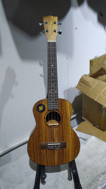 MR ukulele
